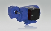 DC Shunt Wound Geared Motor KGIG 623 with Single Worm Gear Unit G 130