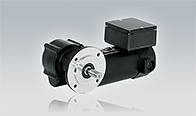 DC Permanent Magnet Geared Motors EPG 043 with Single Worm Gear Unit GF 129